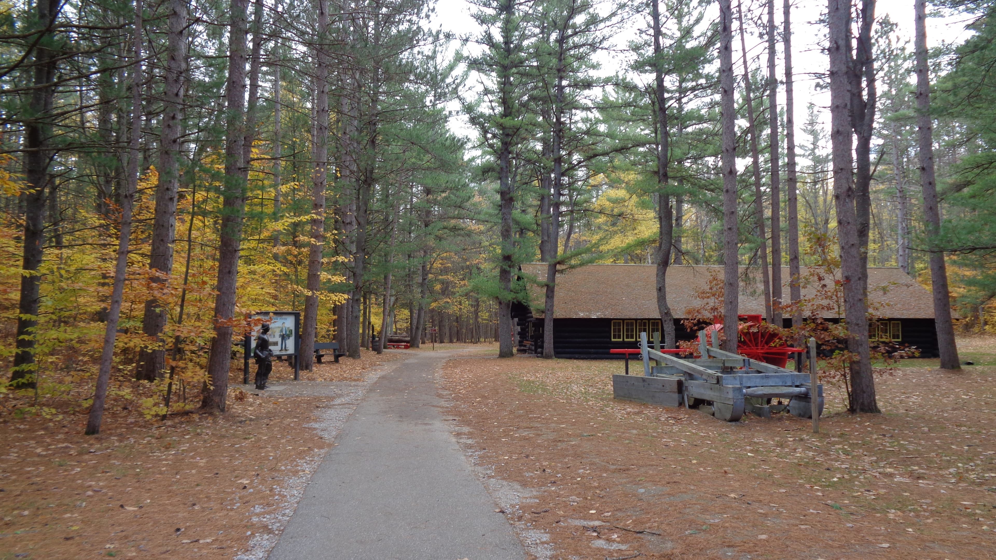 Hartwick Pines old-growth forest in spring