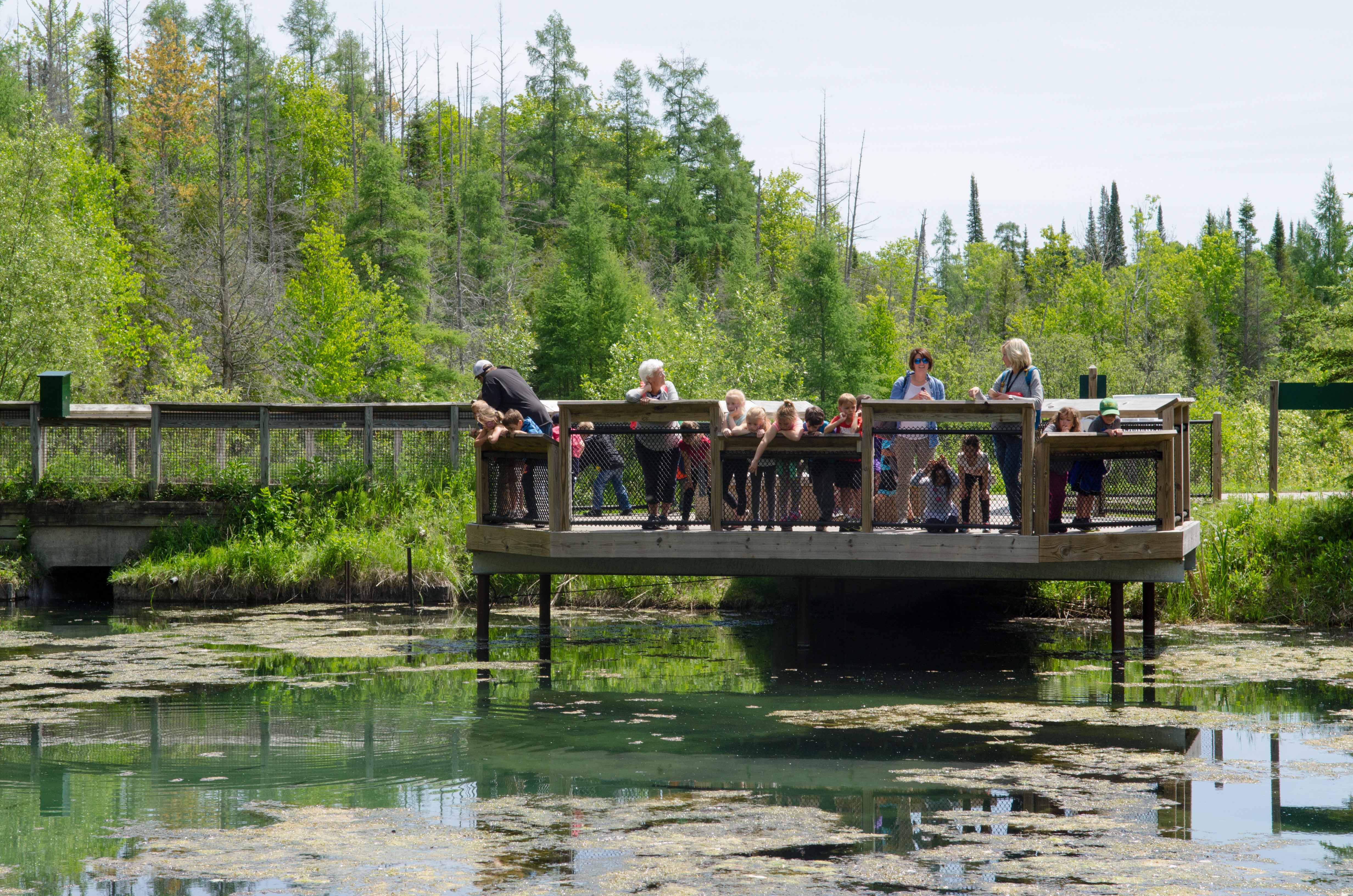 Kitch-iti-kipi spring at Palms Book State Park